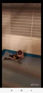 �����. ����