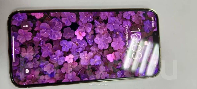 Apple iPhone 13 Pro Max. �/�, �����, �����������, 4G LTE, 5G ����