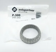 ������ ��������� P300 P300 ����
