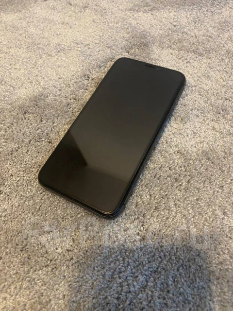 Apple iPhone X. �/�, ������ ����