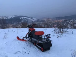 Irbis Dingo T150. ��������, ���� ���, � �������� ����