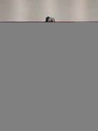     ( )  Changan CS55 [. 72320] 
