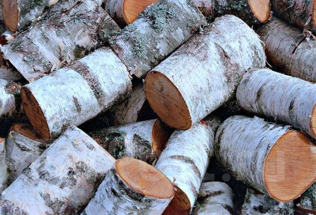 Спил деревьев. Расчистка участка. Подготовка под строительство во ...