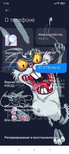 Xiaomi Poco F3. �/�, ������, 4G LTE, 5G, ����������, NFC ����