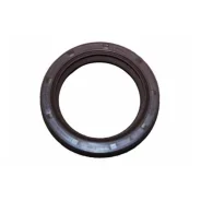 ������� ����������� Chery Amulet (4801006020) 480-1006020 ����