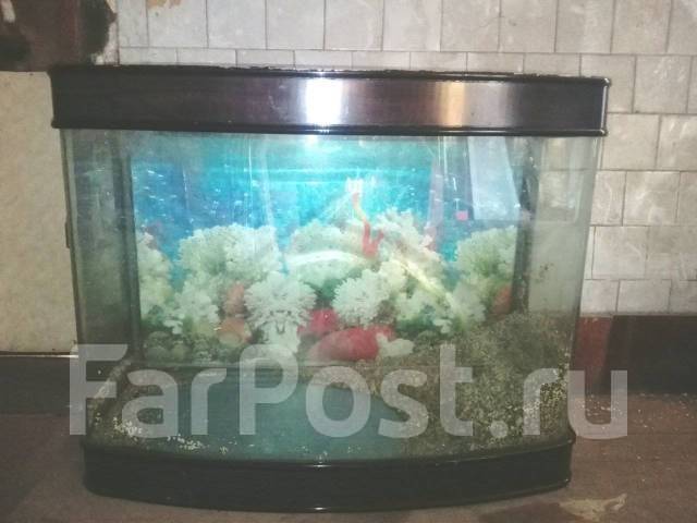 Аквариум. 200 литров, в наличии. Цена: 7 500₽ во Владивостоке