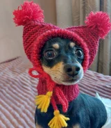 �����. ����