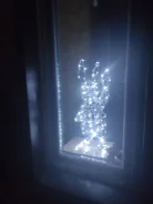 ������ ���� ������ ����