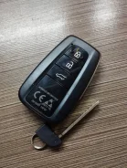 Black Bug ����