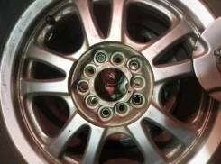 Alpil Eleven. x15" ����