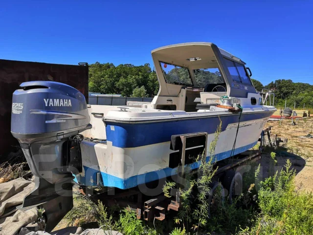 Yamaha FR-23. 2003 ���, ����� 7��., ��������� ���������, 225��.�., ������ ����