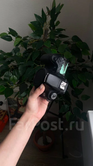 Canon EOS 60D Body. 15 - 19.9 ��, ���: ��� ���� ����