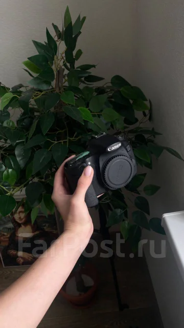 Canon EOS 60D Body. 15 - 19.9 ��, ���: ��� ���� ����