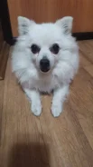 ����. ����