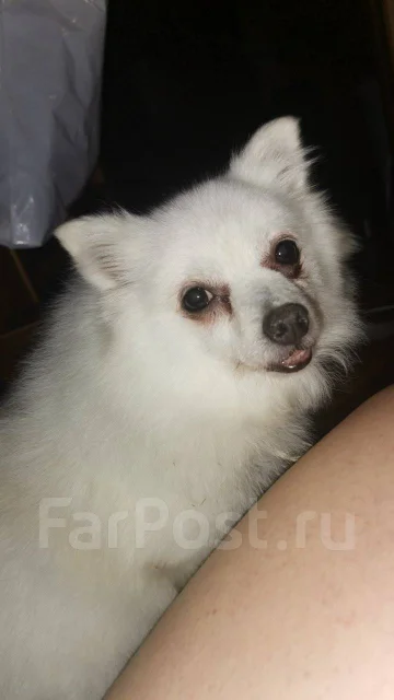 ����. ����