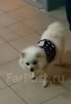 ����. ����