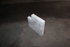 ����������. ����