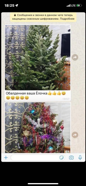 ���� �����. ����