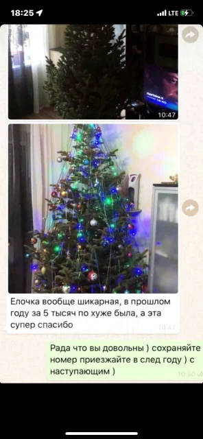���� �����. ����