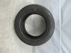 Bridgestone Ice Cruiser 7000