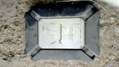 Pioneer