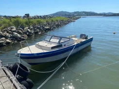 Yamaha F-24. 1994 ���, ����� 7,4��., ��������� ���������, 140��.�., ������ ����