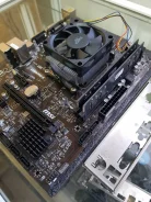 AMD ����