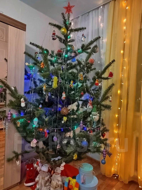 ���� �����. ����
