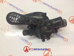 ��������� (���������) Peugeot 9810916880 9810916880 ����