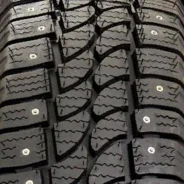 Tigar CargoSpeed Winter. ������, ����������, ����� ����