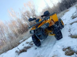 Motoland Wild Track. ��������, ��� ���\���, � �������� ����