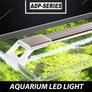 �����������. ����