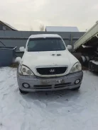 Hyundai Terracan ����