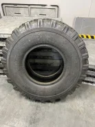 ��� ��-113. �����������, 2019 ���, �����. �������� ������ ����