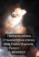 �������� ����. ����