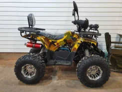Yamaha. ��������, ��, ��� ������� ����