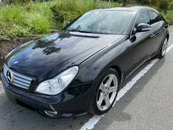 Mercedes-Benz CLS-Class. WDD2193722A094589, 273960 ����