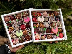 ������ �� ��������. ����