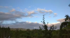������ ������ ������� � ��� "������". 10����., ������� �������������, ������������� ����