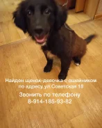 ������. ����