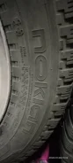 Nokian Hakkapeliitta. ������, ����������, �/�, ����� 5 % ����