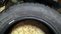 Kormoran Stud. ������, ����������, 2021 ���, �/�, ����� �� 5 % ����