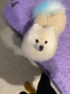 �������� ����. ����