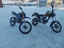 Racer Pitbike RC125-PE. 125����. ��., ��������, ���, � �������� ����