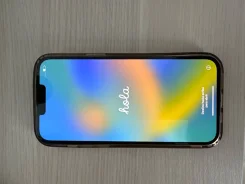 Apple iPhone 13 Pro Max. �/�, �����������, 3G, 4G LTE, 5G, Dual-SIM, ����������, NFC ����