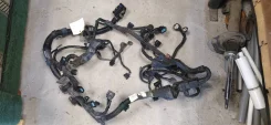 �������� ��������� ����