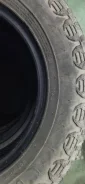 WinRun. �����������, 2019 ���, �/�, ����� 30 % ����