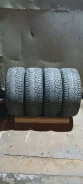 Pirelli Winter Carving. ������, ����������, 2010 ���, �/�, ����� 40 %. �������� ������� ����
