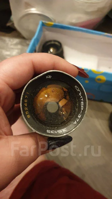 ������ ����