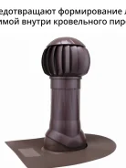 ��������. ����